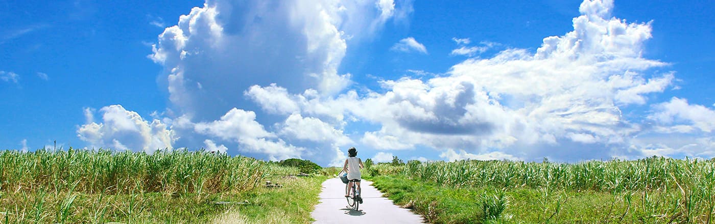 お知らせ・イベント
